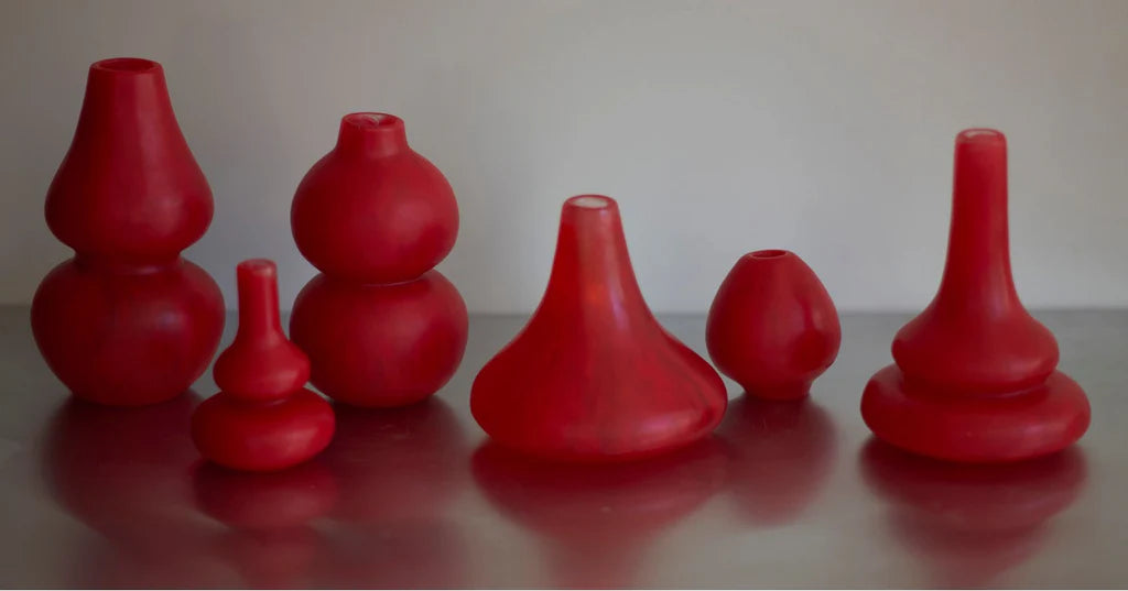 Dinosaur Designs - Lotus Seed Vase Poppy
