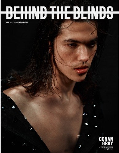 Behind the Blinds book