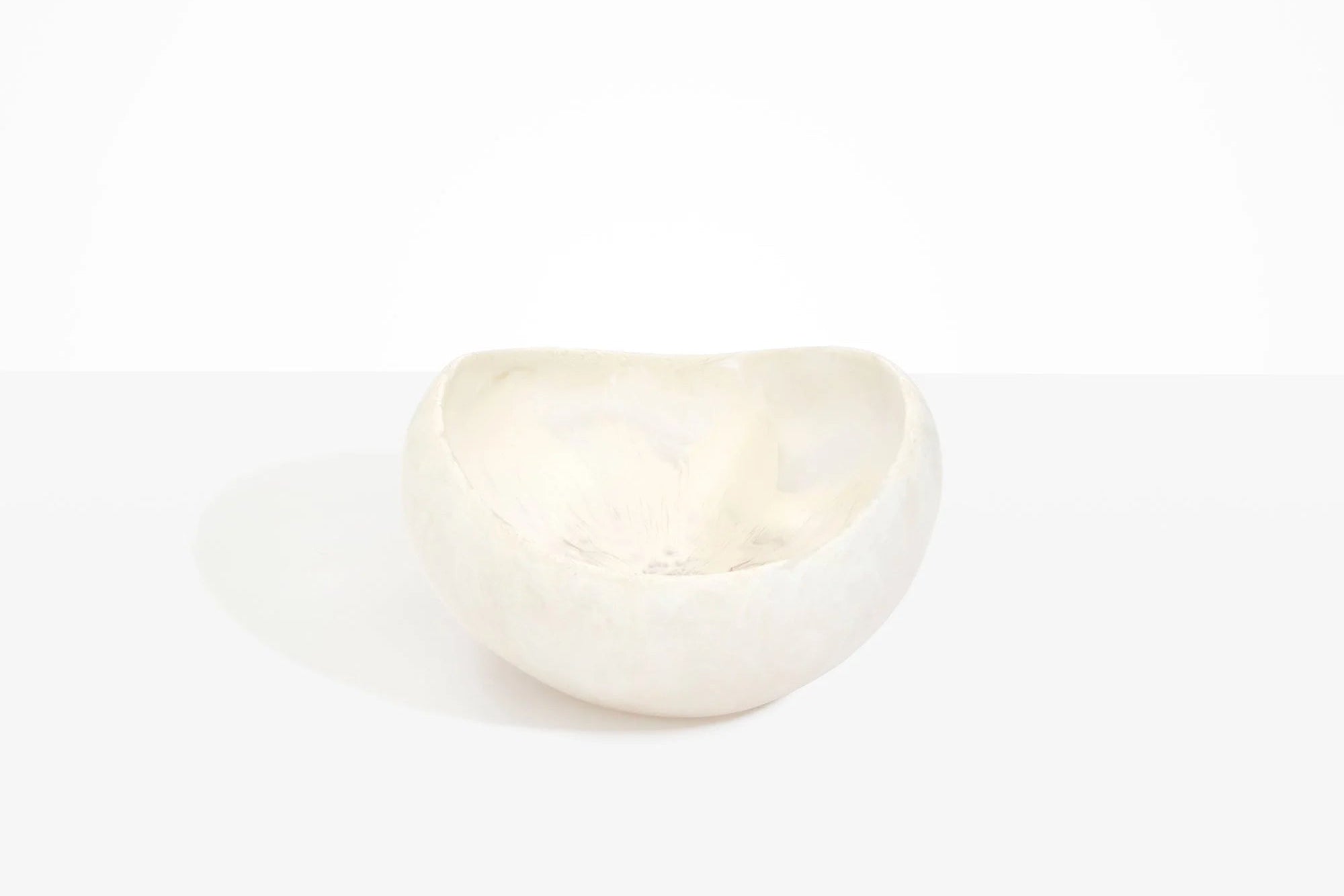 Dinosaur Designs - Bowl Beetle Large - Chalk