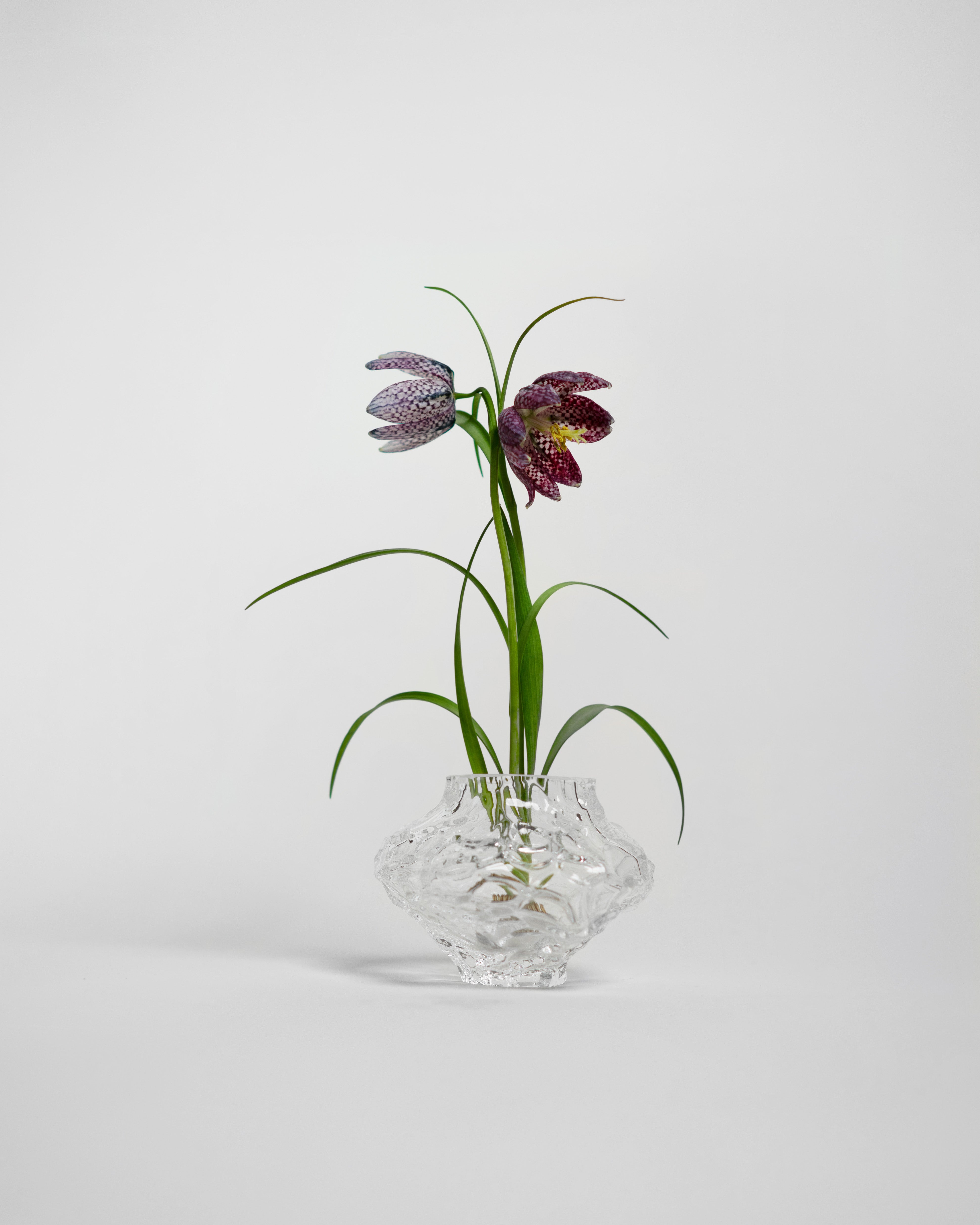 Hein Studio - Canyon Vase - mini - Clear