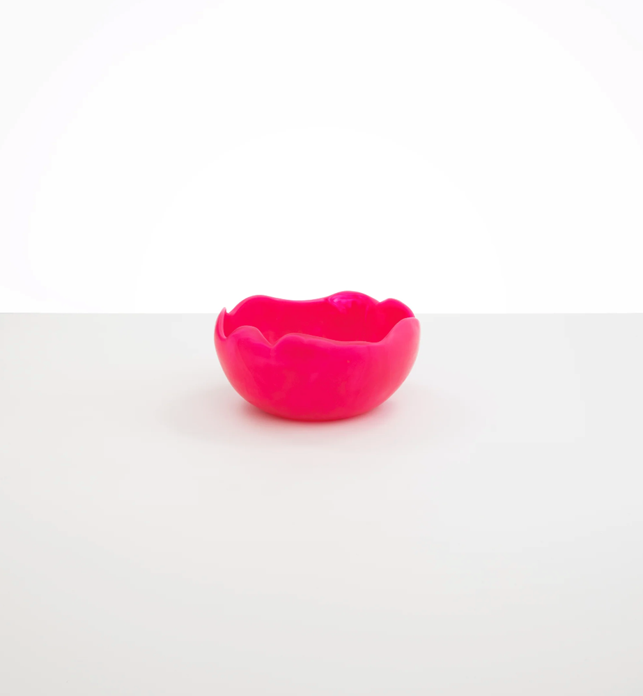 Dinosaur Designs - Medium Paradise Bowl - Flamingo