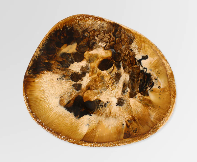 Dinosaur Designs - Pebble Plate - Dark Horn