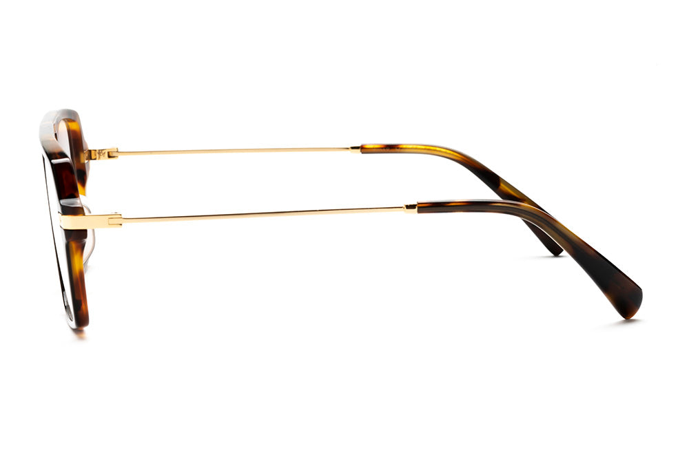 AM Eyewear (Optical 1.25 reader lens) - Sacco Battle Tort