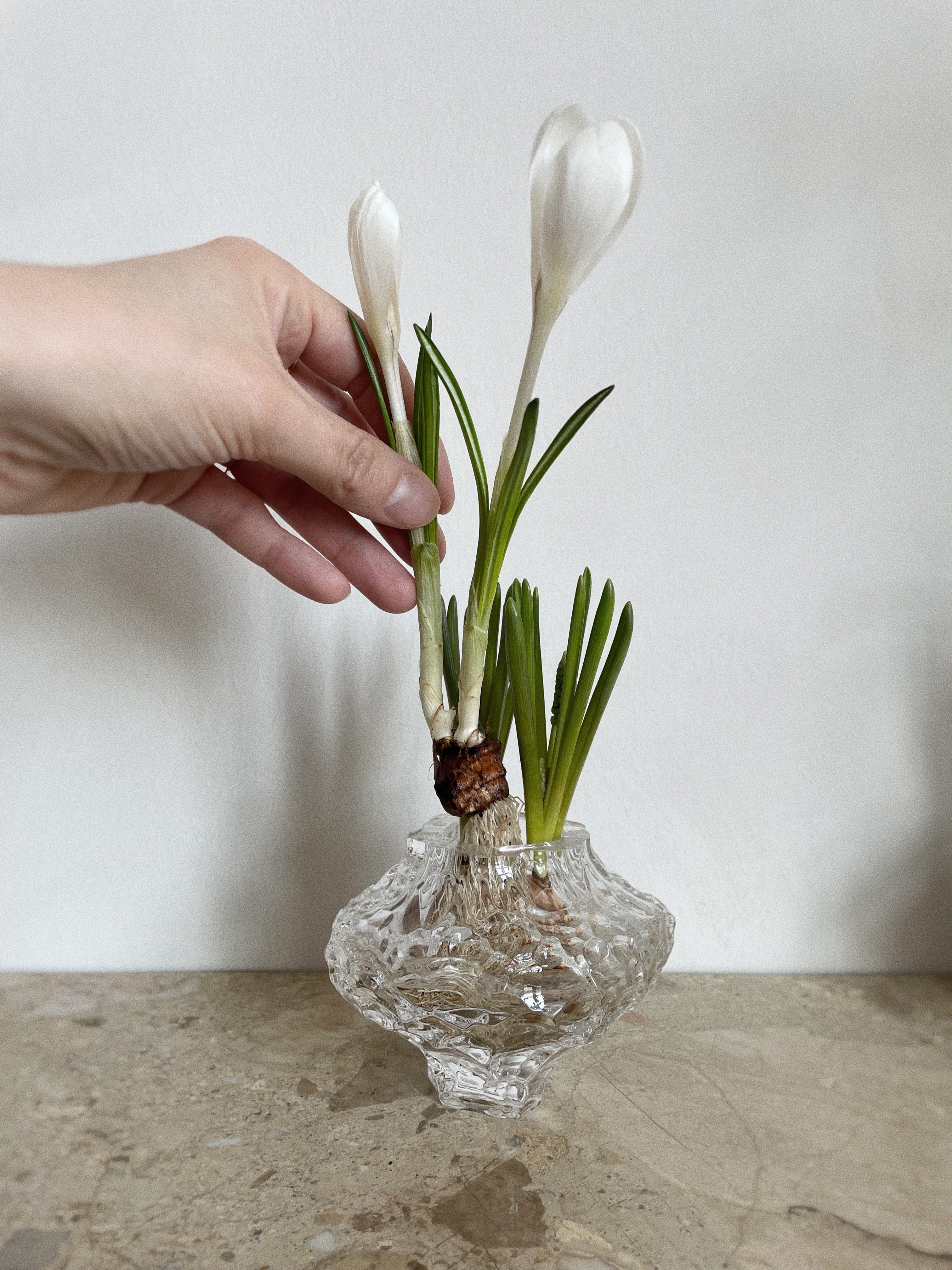 Hein Studio Canyon Vase - mini - Clear