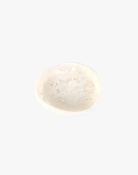 Dinosaur Designs - Large Bowl Beetle Chalk
