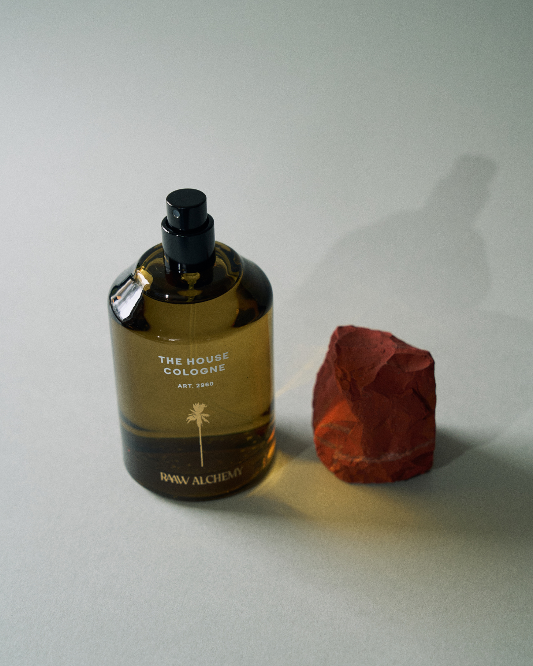 RAAW Alchemy - The House Cologne